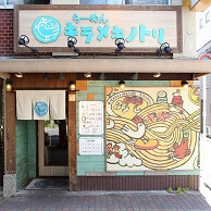 キラメキノトリの外観